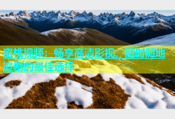 蜜桃视频：畅享高清影视，随时随地追剧的最佳选择