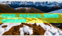 蜜桃视频：畅享高清影视，随时随地追剧的最佳选择