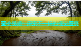 蜜桃视频：探索不一样的视觉盛宴