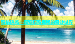 蜜桃诱惑：探索甜蜜视频的奇妙世界