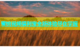 蜜桃视频福利宝全新体验尽在掌握
