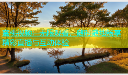 蜜桃视频：无限观看，随时随地畅享精彩直播与互动体验