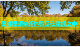 蜜桃视频全新体验尽在掌握之中