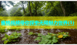 蜜桃视频带你探索无限魅力世界(1)