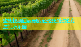蜜桃视频回家导航 轻松找到你的专属视听乐园