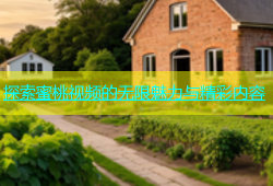 探索蜜桃视频的无限魅力与精彩内容