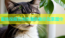 蜜桃视频官网热播新剧尽在掌握中