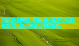 高清蜜桃视频：随时随地畅享丰富影视资源，轻松搜索与观影体验