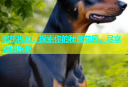 蜜桃视频：探索你的秘密花园，尽享无限乐趣