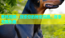 蜜桃视频：探索你的秘密花园，尽享无限乐趣