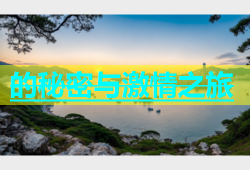 的秘密与激情之旅