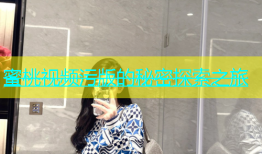 蜜桃视频污版的秘密探索之旅