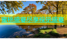 蜜桃盛宴尽享视觉盛宴