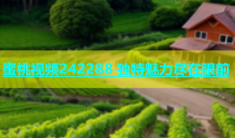 蜜桃视频242288 独特魅力尽在眼前
