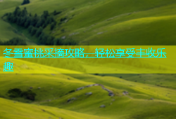 冬雪蜜桃采摘攻略，轻松享受丰收乐趣