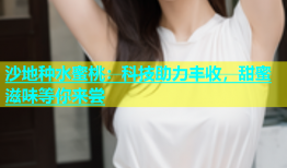 沙地种水蜜桃：科技助力丰收，甜蜜滋味等你来尝