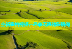全新蜜桃视频，尽享无限精彩瞬间