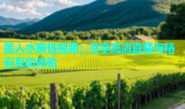 黑人水蜜桃视频：尽享高清直播与精彩互动体验