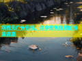 观看无广告影视，尽享蜜桃视频的海量资源