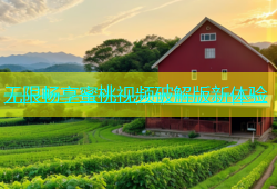 无限畅享蜜桃视频破解版新体验