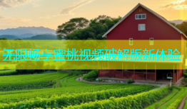 无限畅享蜜桃视频破解版新体验
