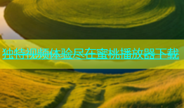 独特视频体验尽在蜜桃播放器下载