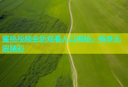 蜜桃视频全新观看入口揭秘，畅享无限精彩