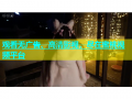 观看无广告、高清影视，尽在蜜桃视频平台