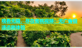 观看无限，尽在蜜桃视频：无广告极速追剧体验