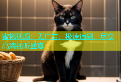 蜜桃视频：无广告、极速追剧，尽享高清视听盛宴