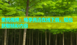 蜜桃视频：畅享高清在线下载，轻松获取精彩内容