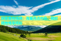 探索蜜桃视频：海量高清内容，随时随地畅享精彩