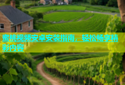 蜜桃视频安卓安装指南，轻松畅享精彩内容