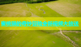 蜜桃猫的奇妙冒险全新视频大放送