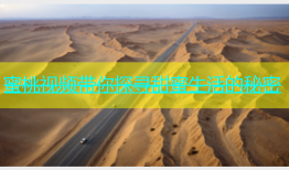 蜜桃视频带你探寻甜蜜生活的秘密