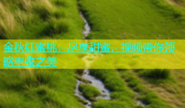 金秋红蜜桃：尽享甜蜜，视频带你领略丰收之美