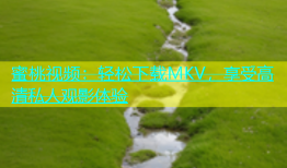 蜜桃视频：轻松下载MKV，享受高清私人观影体验