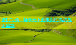 蜜桃视频：畅享无下载限制的高清视听盛宴