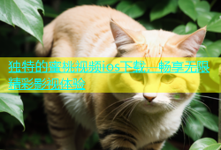 独特的蜜桃视频ios下载，畅享无限精彩影视体验