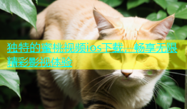 独特的蜜桃视频ios下载，畅享无限精彩影视体验