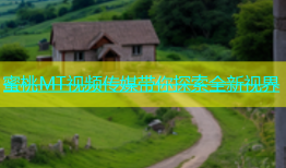 蜜桃MT视频传媒带你探索全新视界