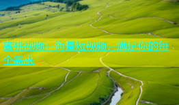 蜜桃视频：海量短视频，满足你的每个需求