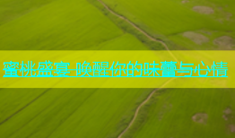 蜜桃盛宴 唤醒你的味蕾与心情