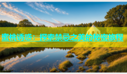 蜜桃诱惑：探索禁忌之美的秘密旅程