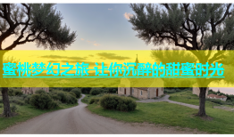 蜜桃梦幻之旅 让你沉醉的甜蜜时光