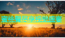 蜜桃臀尽享视觉盛宴