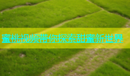 蜜桃视频带你探索甜蜜新世界