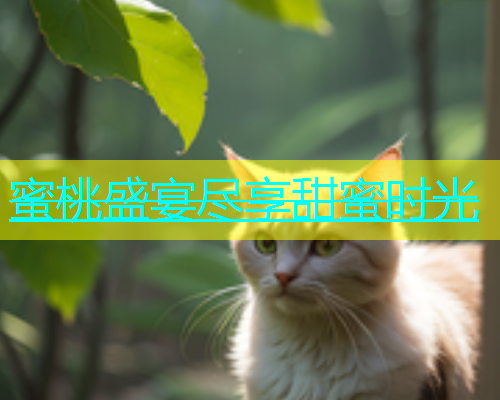 蜜桃盛宴尽享甜蜜时光