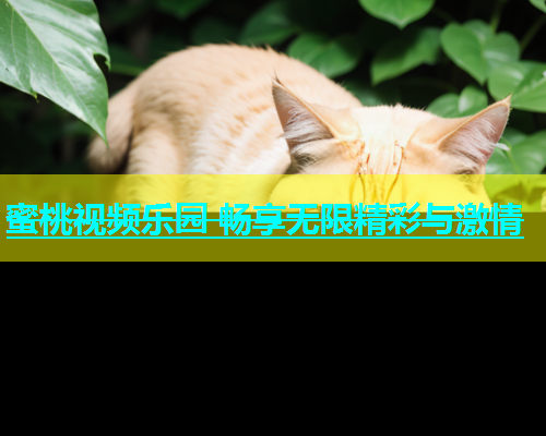 蜜桃视频乐园 畅享无限精彩与激情