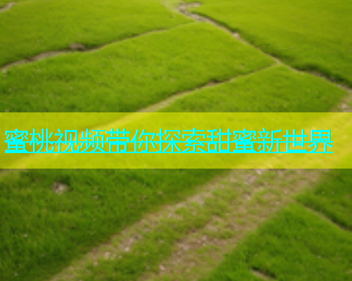 蜜桃视频带你探索甜蜜新世界